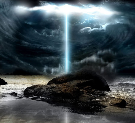 һФϹѡ2020ꣿ